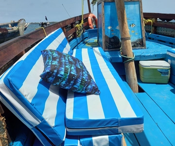 Desde Mombasa: Parque Marino Kisite Mpunguti e Isla Wasini