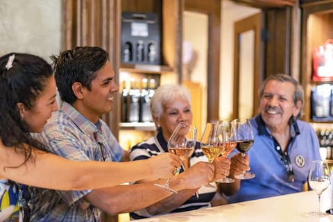 From Toronto: Niagara Wine Country Small-Group Tour