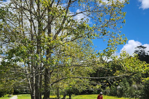 Auckland: Honey Center, Horse Riding & Sheep World Tour