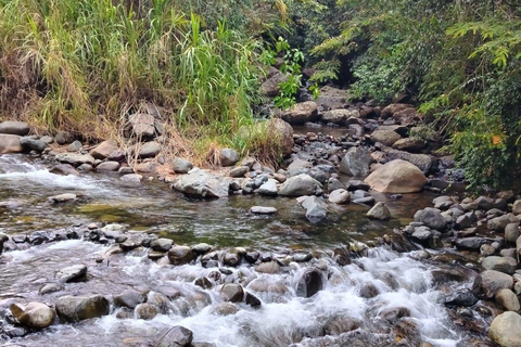 Cali: Motorbike Adventure to the Pance River and Nature Cali: Motorcycle Adventure to the Pance River and Nature