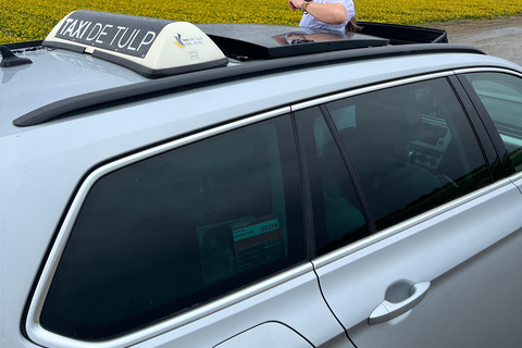 Lisse: Private Tulip Fields Tour with a Local Guide 1h Tour