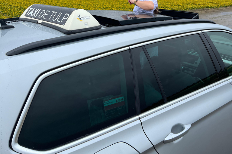 Lisse: Private Tulip Fields Tour with a Local Guide 1h Tour