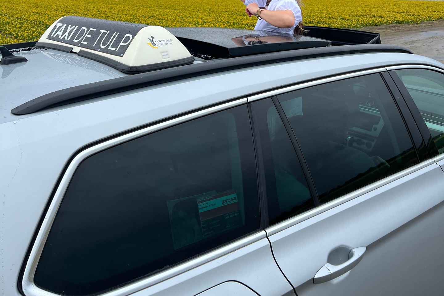 Lisse: Private Tulip Fields Tour with a Local Guide 1h Tour