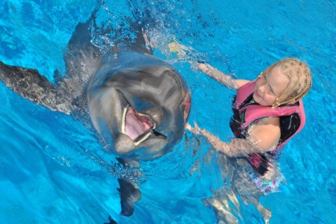 Dolfijn- en zeehondenshow in Alanya: Magisch Avontuur