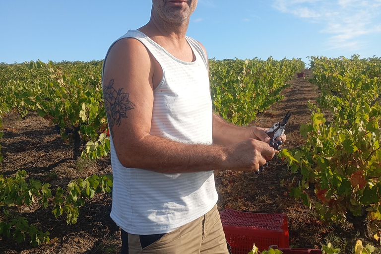 Beziers: Eco Wine Tasting at Sarabande Wines Off-Grid Winery