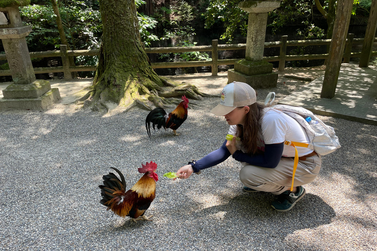 Nara: Guided Countryside Car Tour with Beautiful Landscape