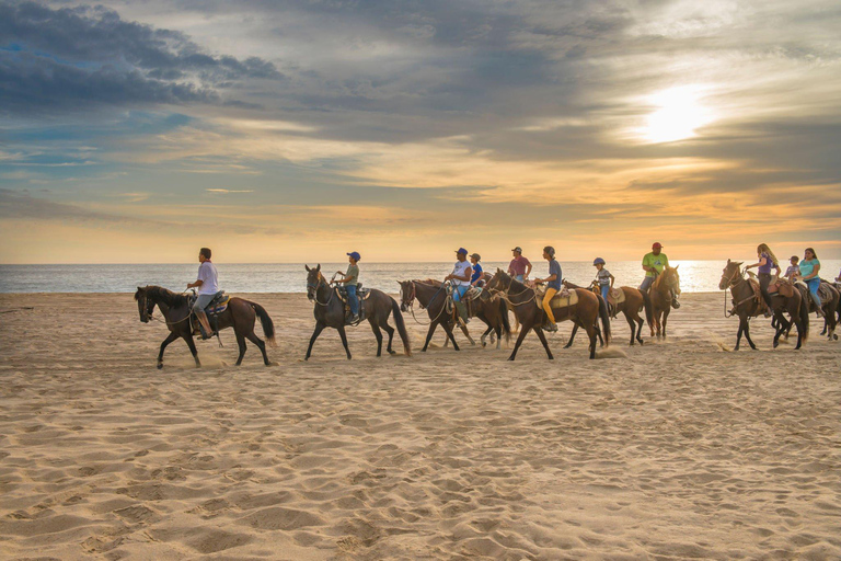 Agadir: Excursión a caballo por la playa y el rancho