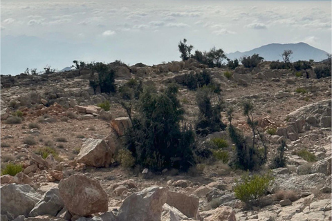 From Muscat: Nizwa & Jabal Akhdar with Multilingual Guide
