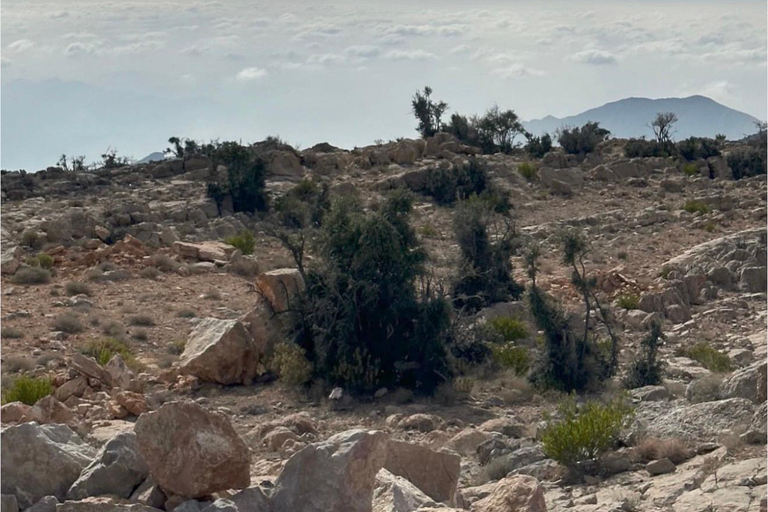 From Muscat: Nizwa & Jabal Akhdar with Multilingual Guide