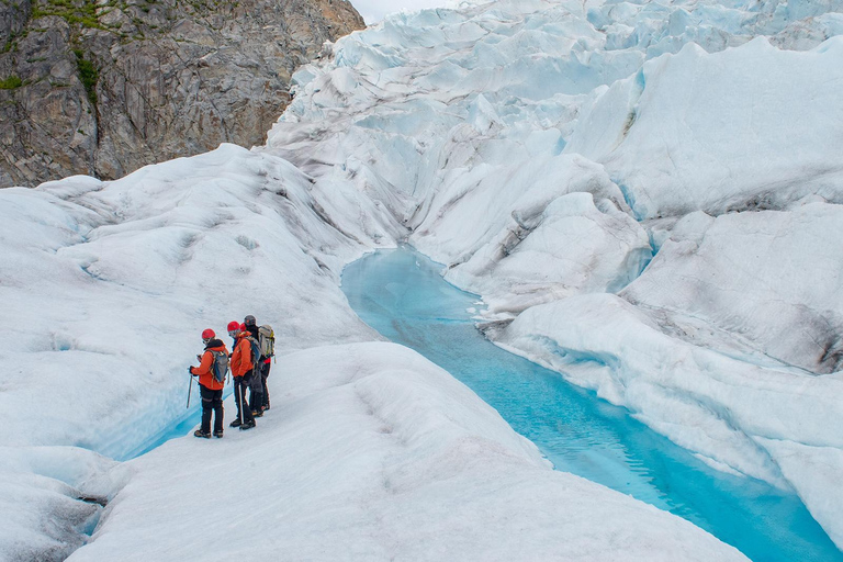 Vatnajokull: Skaftafell Glacier Hike