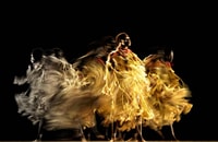 Dortmund, Phoenix des Lumières Entry Ticket - Housity