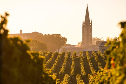 Private Full Day Saint-Émilion Wine Tour from Bordeaux