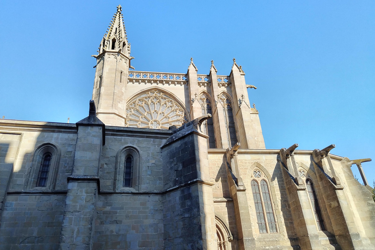 Carcassonne: Private Guided Tour with Castle Entry Ticket