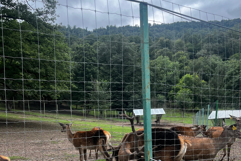 Arménie : Visite privée de Dilijan et du lac Sevan