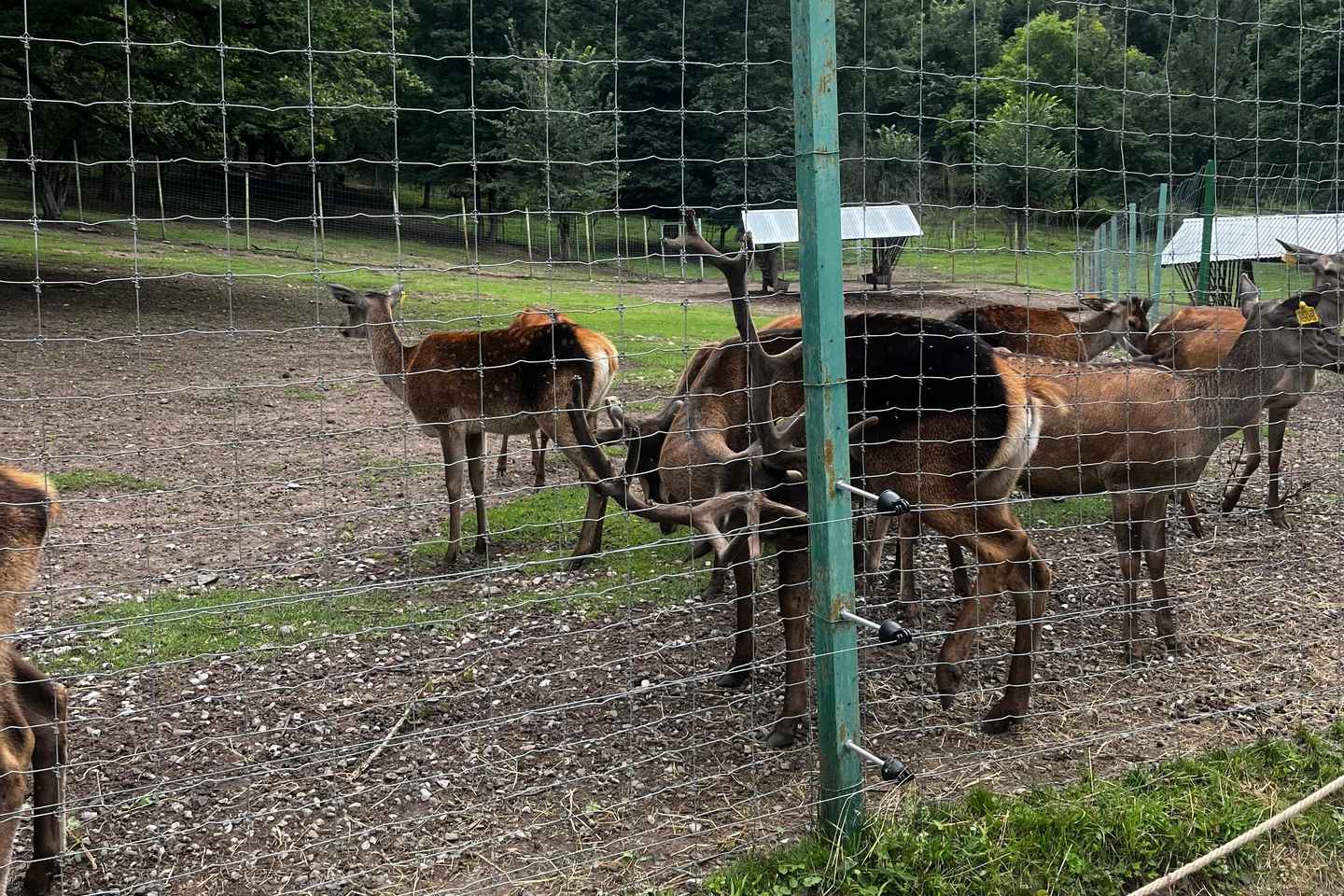 亚美尼亚:迪利然与塞凡湖私人游