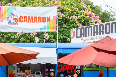 Oahu: Haleiwa &amp; Dole Plantation Deluxe Tour