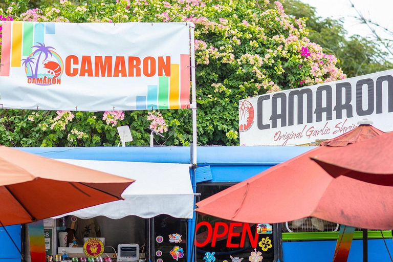 Oahu: Haleiwa &amp; Dole Plantation Deluxe Tour