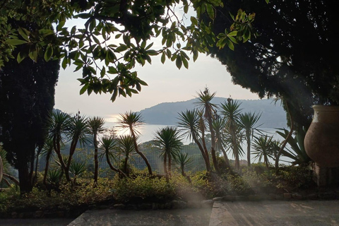 Nice: tour of three iconic villas in saint-jean-cap-ferrat