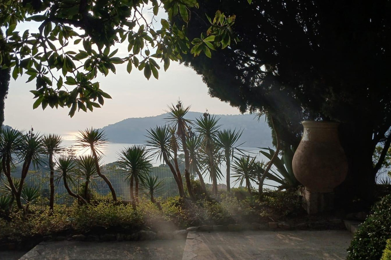 Nice: tour of three iconic villas in saint-jean-cap-ferrat