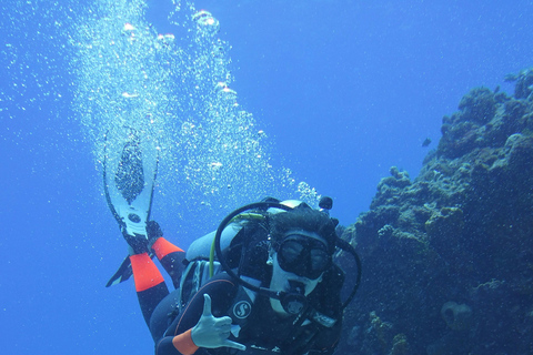 Da Nang: Cham Islands Fun Dive with Lunch and Transfers Fun Divers with Certified - two dive