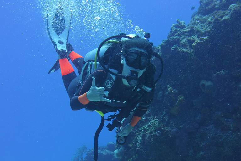 Da Nang: Cham Islands Fun Dive with Lunch and Transfers Fun Divers with Certified - two dive