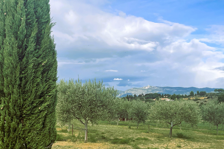 Montpellier:Journée Huile d'Olive, Vin, St Guilhem le Désert