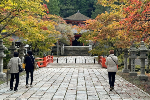 Z Osaki: prywatna wycieczka 1-dniowa z przewodnikiem do Koyasan (miejsce wpisane na listę UNESCO)