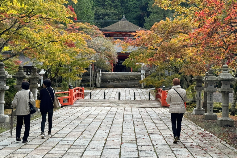 Z Osaki: prywatna wycieczka 1-dniowa z przewodnikiem do Koyasan (miejsce wpisane na listę UNESCO)