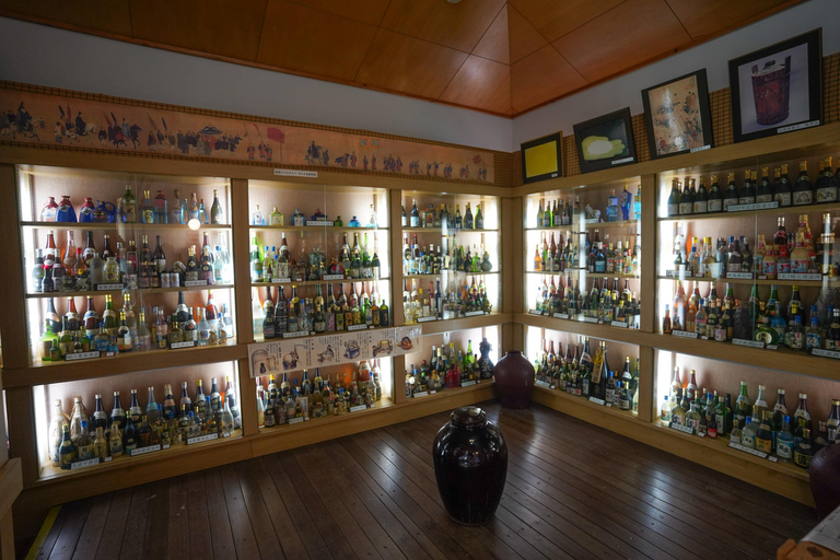 Naha: Okinawa Shuri Castle Peace Walking Tour