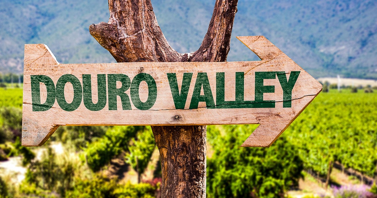 Douro Valley: boat, wine tasting & lunch · porto