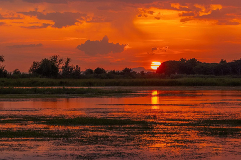Camargue: Special sunrise/sunset photography session with horses and birds Camargue: Special sunrise/sunset photo shoot with horses and birds