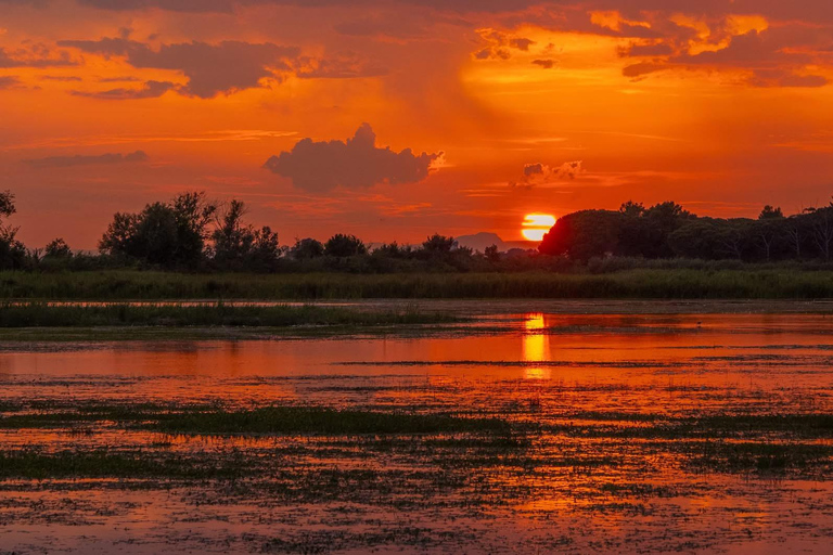 Camargue: Special sunrise/sunset photography session with horses and birds Camargue: Special sunrise/sunset photo shoot with horses and birds