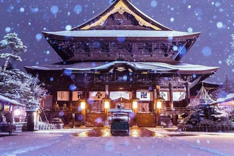 From Tokyo & Nagano: Snow Monkey Private Customizable Tour