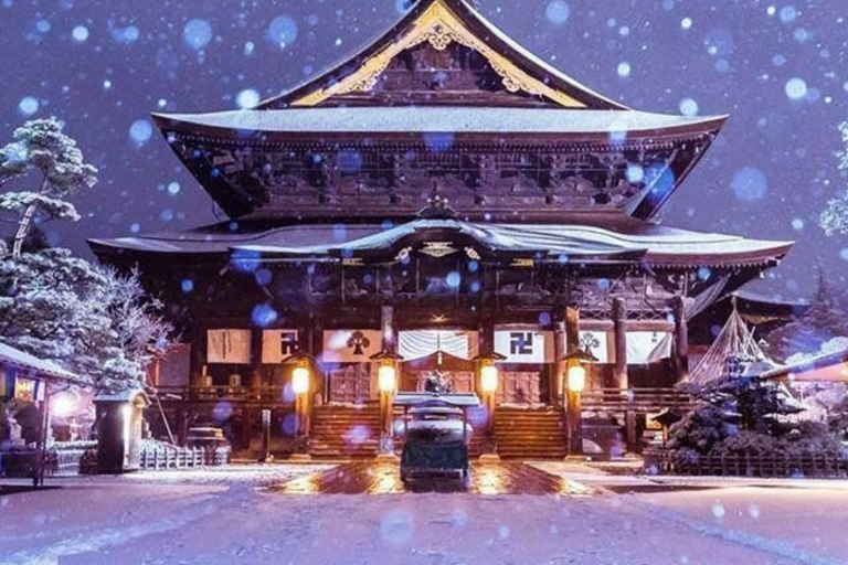 From Tokyo & Nagano: Snow Monkey Private Customizable Tour