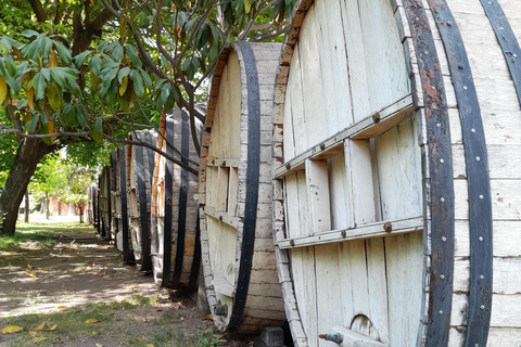 VIGNOBLE CONCHA Y TORO