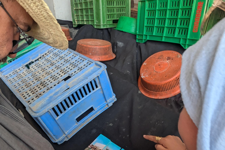 Djerba fun treasure hunt for groups, families, and friends