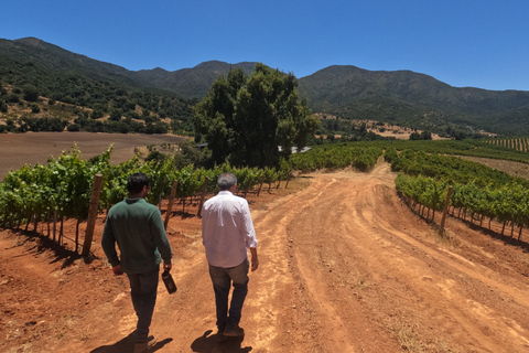 Curacaví Valley: Private Wine Tour of Viña Lopez Pangue and El Cuadro Curacaví Valley: Private Wine Route Tour - Viña Lopez Pangue and El Cuadro