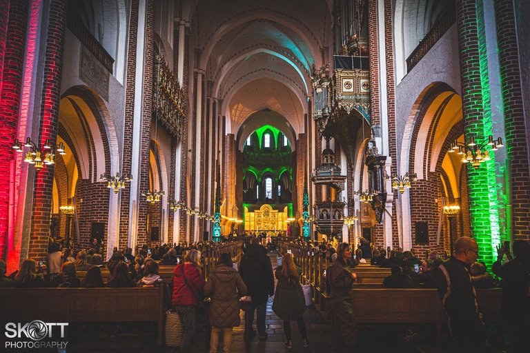 Copenhagen: Viking Heritage Trail Private Tour