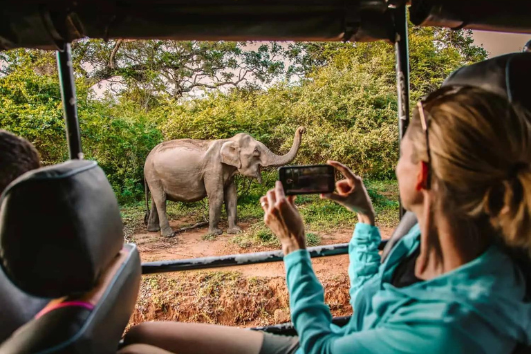 Safari a Yala mattina/sera, 7 ore e 12 ore, pasti inclusi!Tour YALA MATTINA/POMERIGGIO