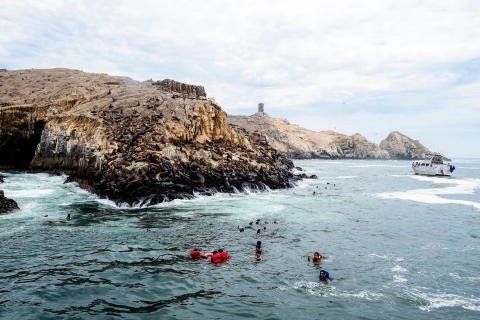 Z Limy: Wycieczka na Wyspy Palomino – zatoka Callao |Półdniowy|
