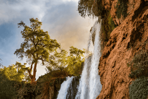 乌祖德瀑布：导游陪同的一日旅行和游船乌祖德瀑布：私人一日游（含导游及乘船游览）