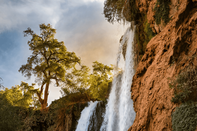 乌祖德瀑布：导游陪同的一日旅行和游船乌祖德瀑布：私人一日游（含导游及乘船游览）