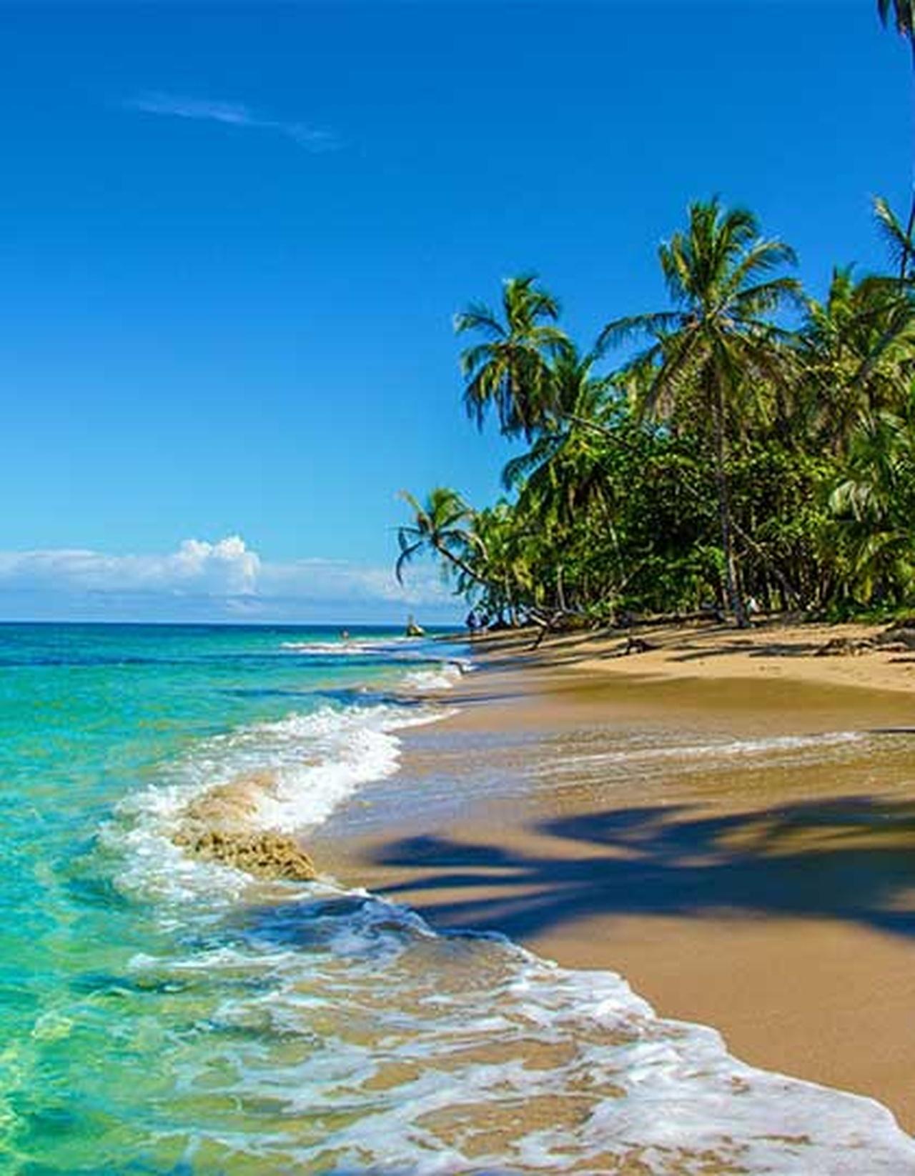 Ab San José: Sixaola-Transfer mit Zwischenstopp in Playa Negra