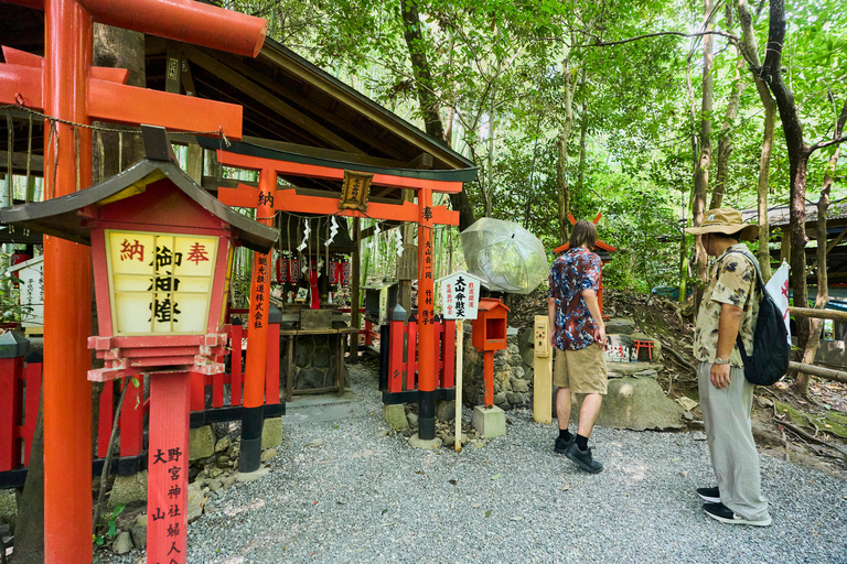 Kyoto: Arashiyama UNESCO Walking Tour with Admission
