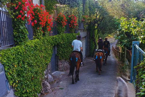 Sorrento: 3-godzinna przejażdżka konna po półwyspie Sorrento