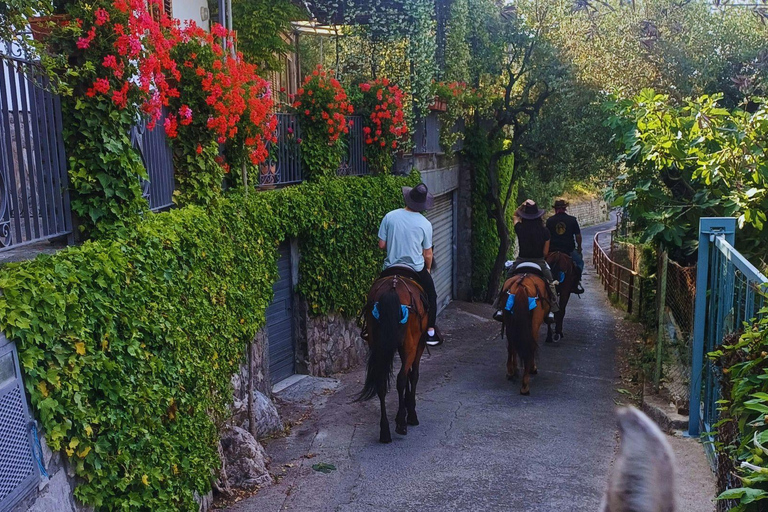 Sorrento: 3-godzinna przejażdżka konna po półwyspie Sorrento