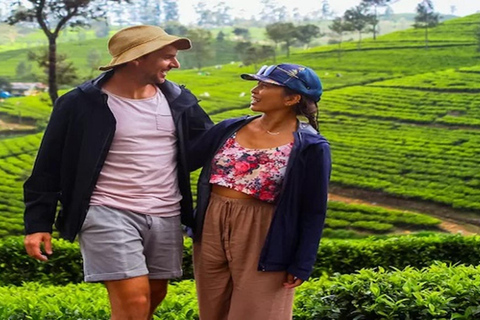 Ella : visite du Lipton&#039;s Seat, d&#039;une fabrique de thé et du bungalow d&#039;AdishamElla : siège de Lipton, usine de thé et bungalow Adisham