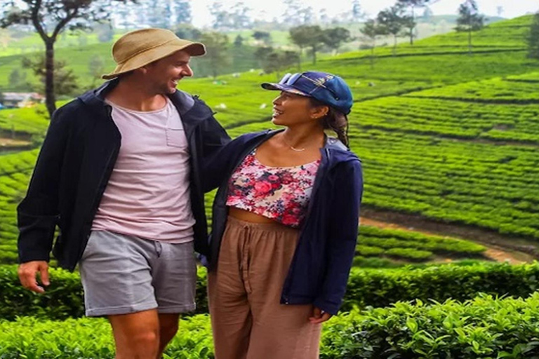 Ella : visite du Lipton&#039;s Seat, d&#039;une fabrique de thé et du bungalow d&#039;AdishamElla : siège de Lipton, usine de thé et bungalow Adisham