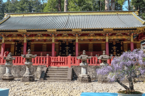 From Tokyo: Nikko Private Tour with Toshogu Shrine & Falls