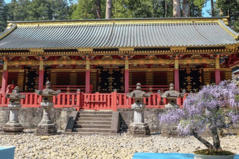 From Tokyo: Nikko Private Tour with Toshogu Shrine & Falls